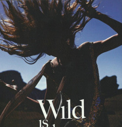 Wild is the Wind