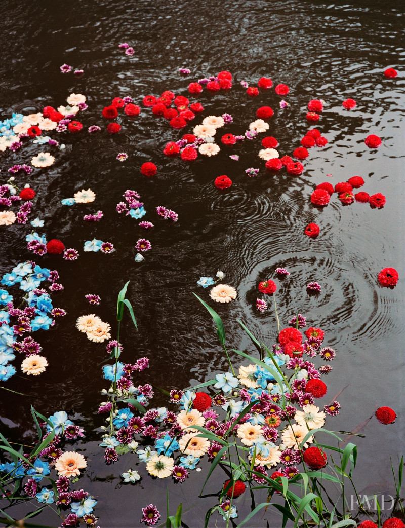 Flower Power, November 2017