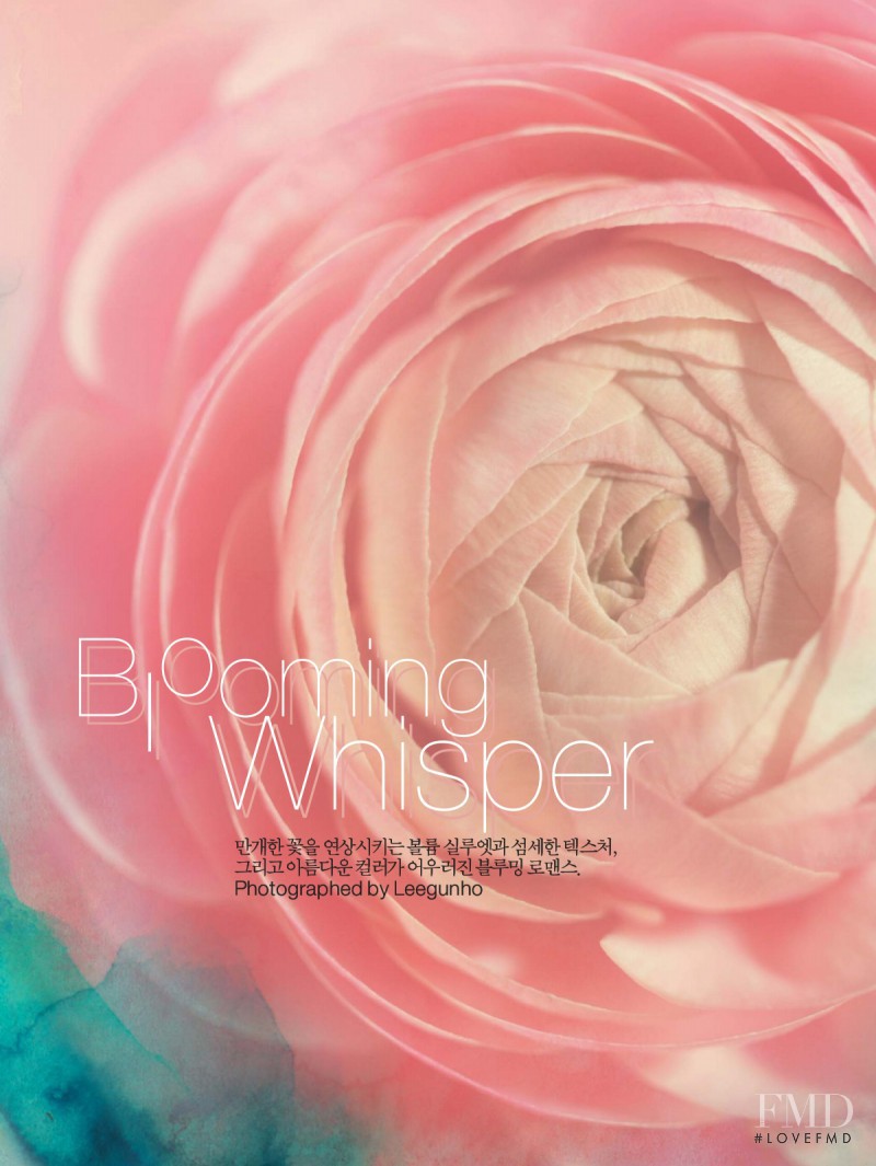 Blooming Whisper, March 2007