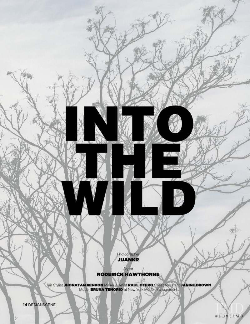 Into The Wild, January 2018