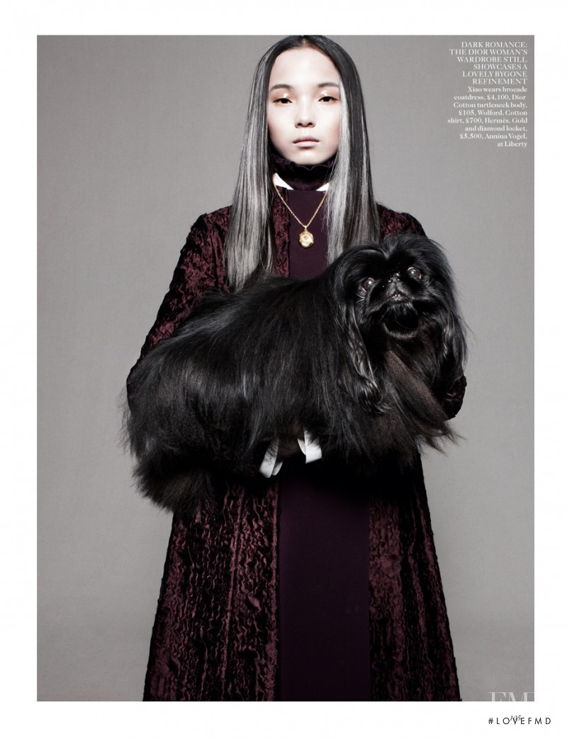 Xiao Wen Ju featured in Best In Show, August 2012