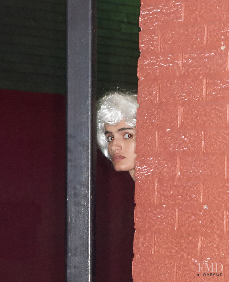 The People Next Door Are Not What The Appear To Be, February 2018