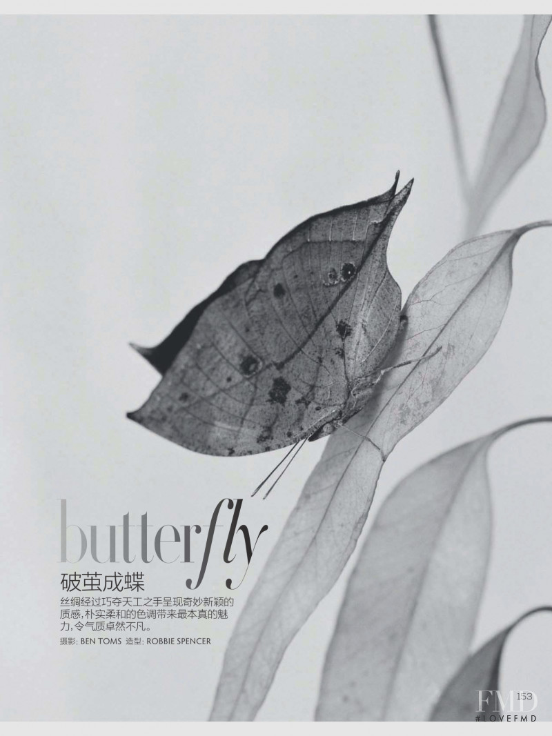 Butterfly, April 2018