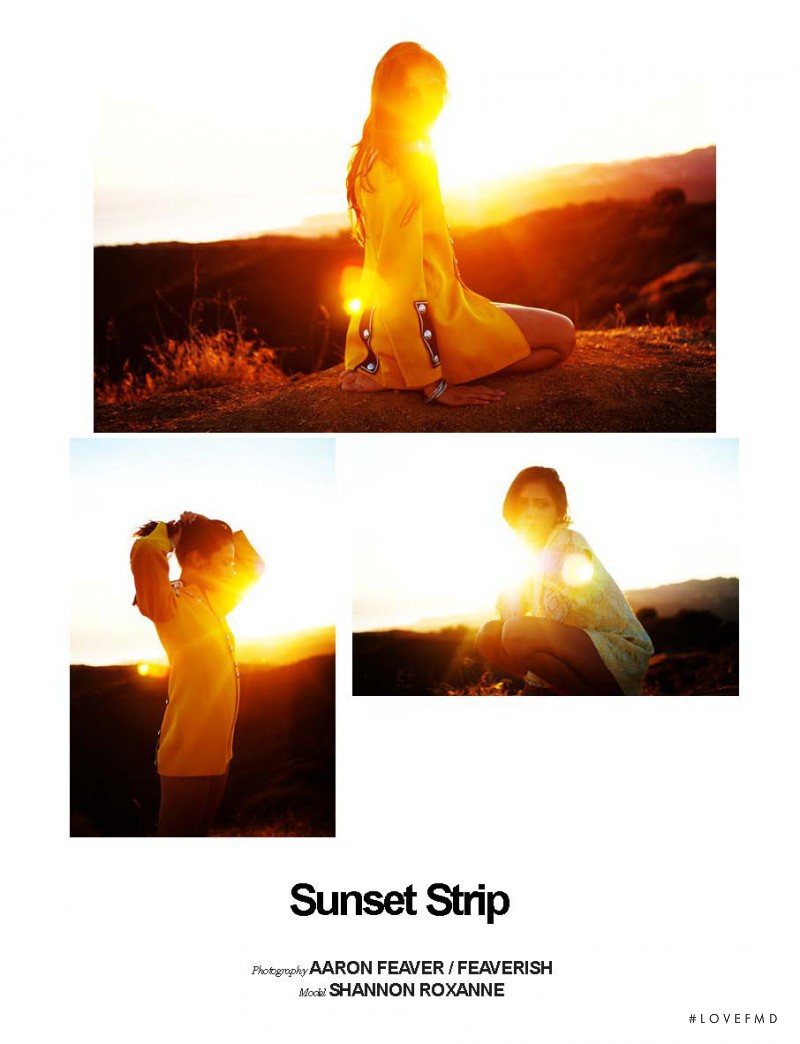 Sunset Strip, November 2010