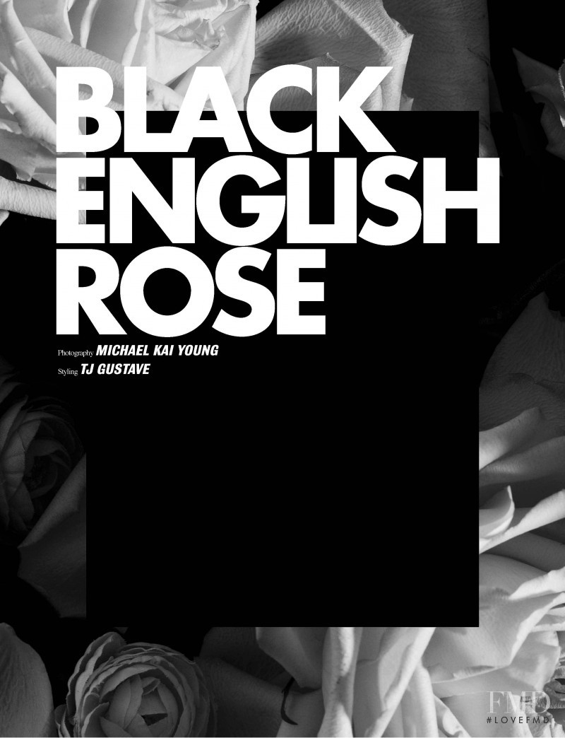 Black English Rose, January 2011