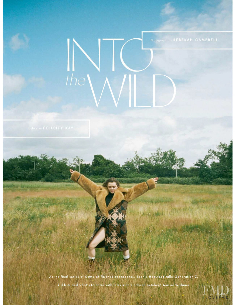 Into the Wild, October 2018