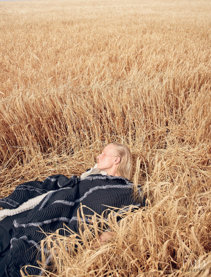 In Un Campo Di Grano, October 2018