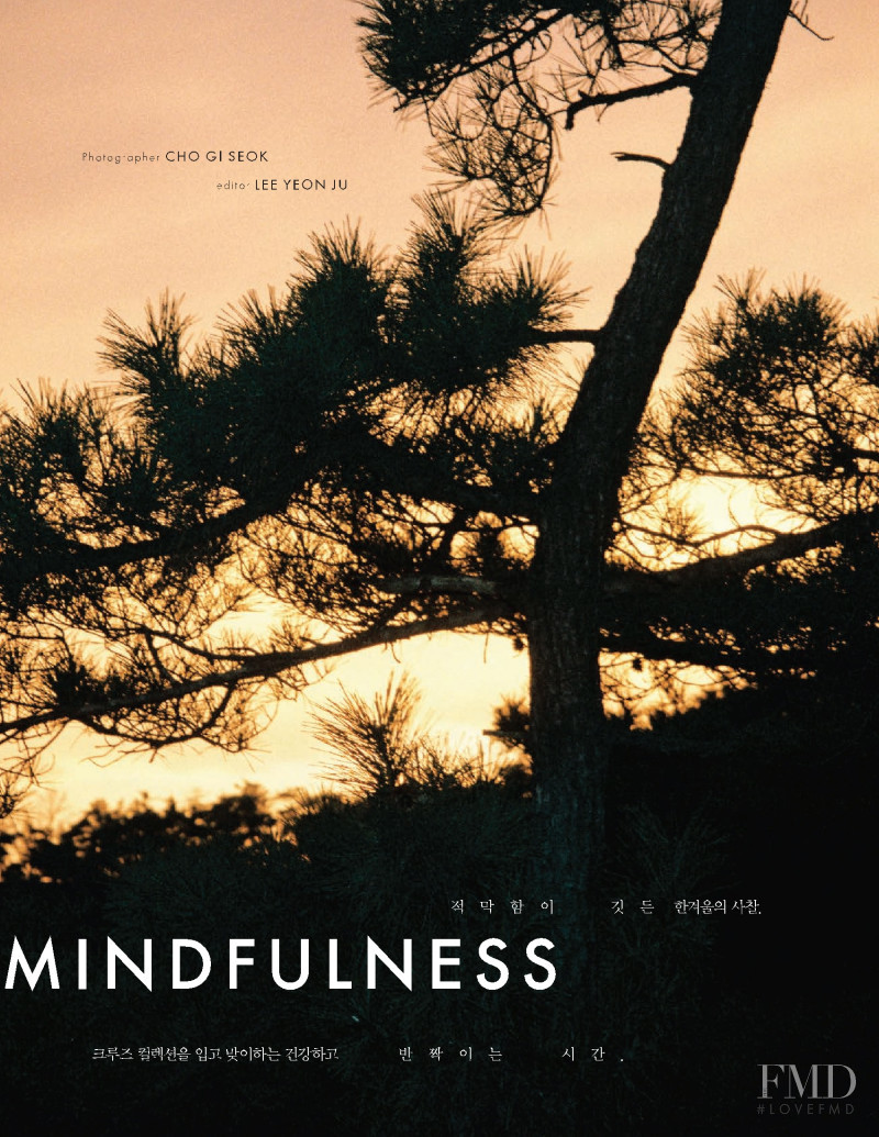 Mindfulness, January 2019