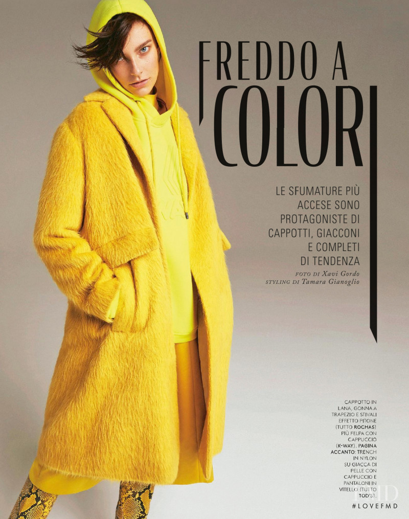 Freddo A Colori, January 2019