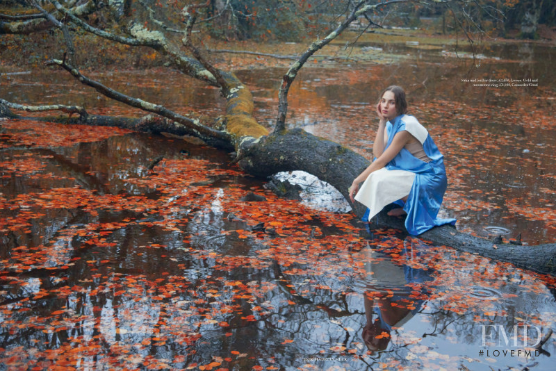 A Sylvan Reverie, March 2019