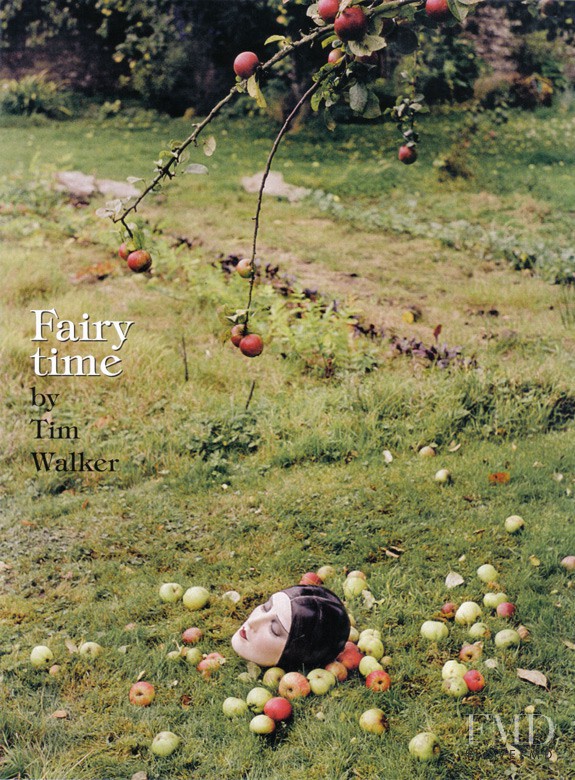 Fairy Time, February 2009