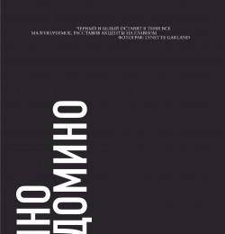 Cinema and Domino