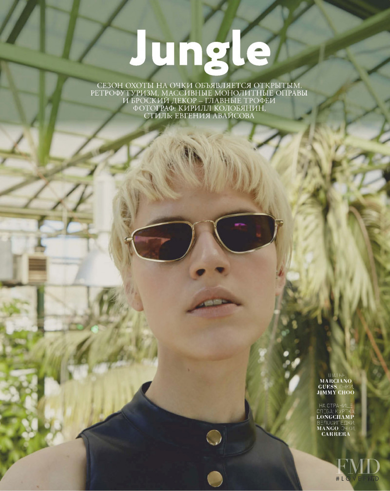 Jungle, June 2019