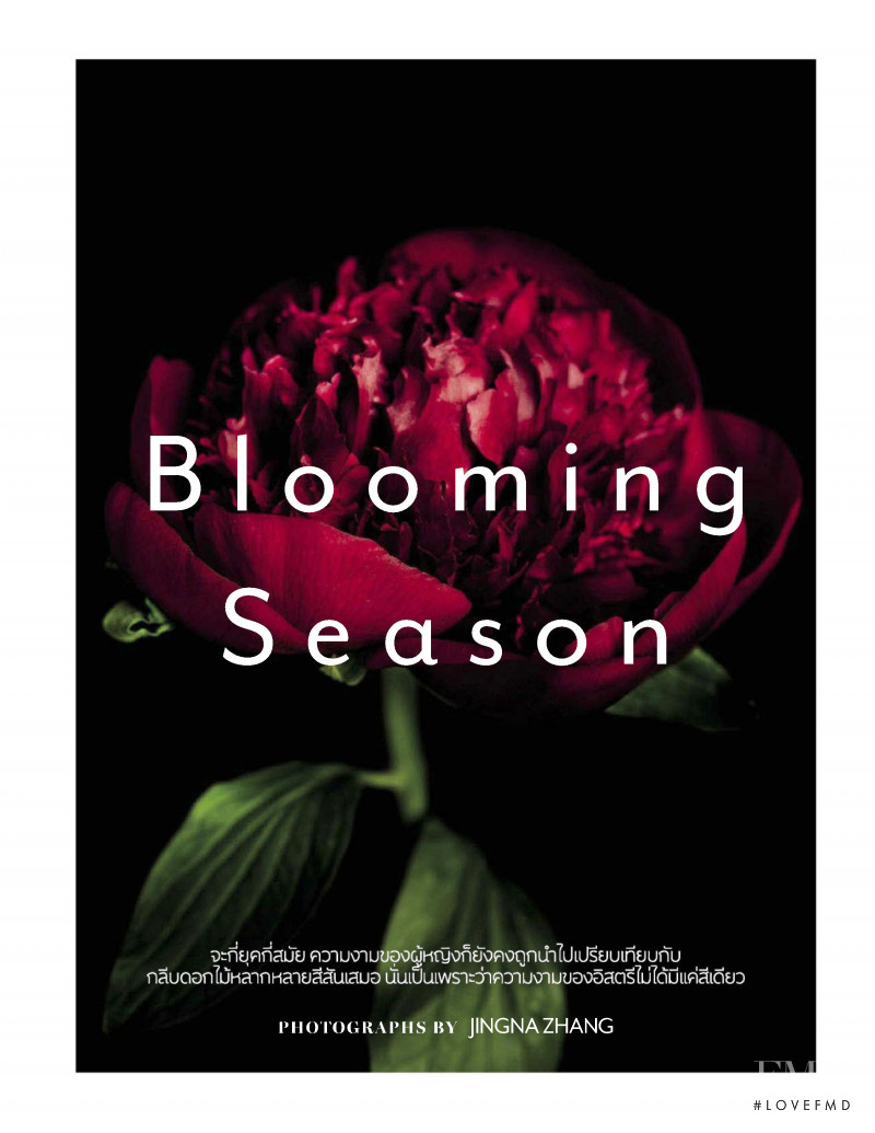 Blooming Season, July 2019