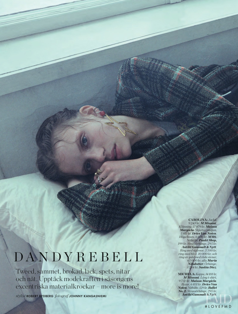 Dandy Rebell, December 2016