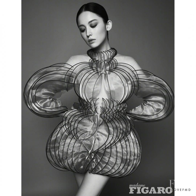 Fierce Blossom, November 2019