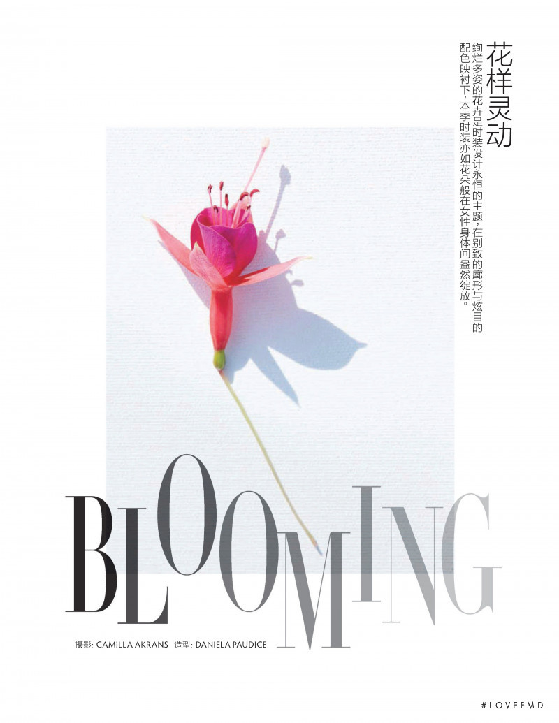 Blooming, December 2019