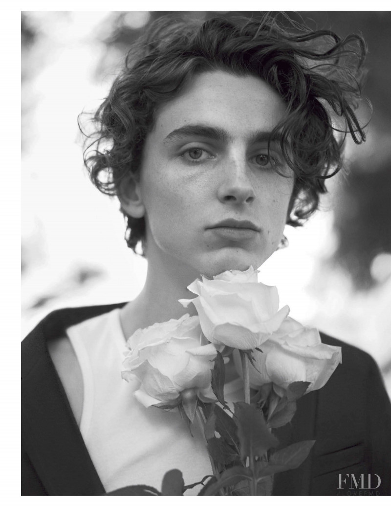 Timothee Chalamet, November 2019