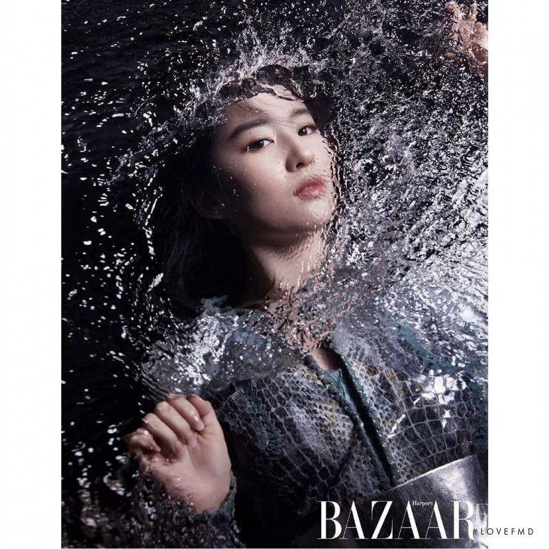The Ballad of Mulan, January 2020