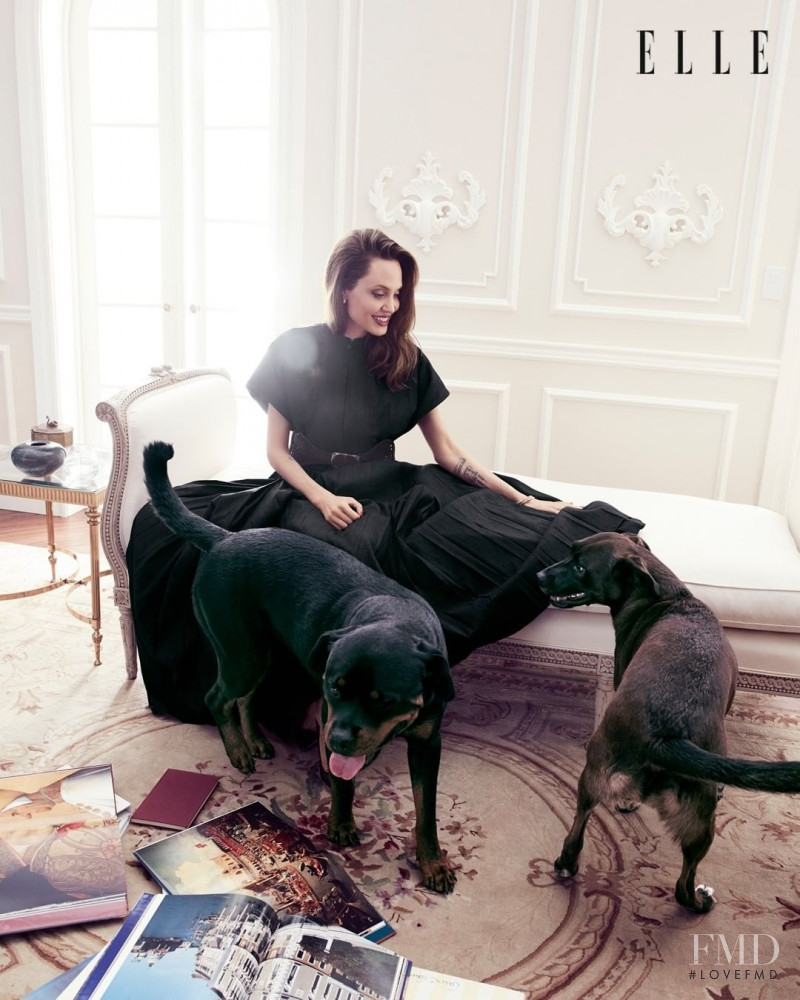 Angelina Jolie, November 2019