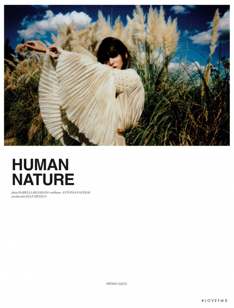 Human Nature, December 2019