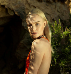 Kate Bosworth: The Sea, The Poison, The Promising Wake