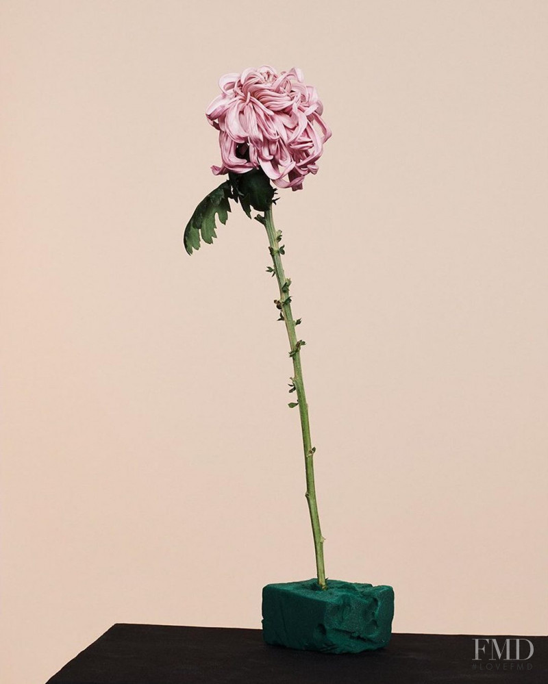 Power of Flowers, April 2020