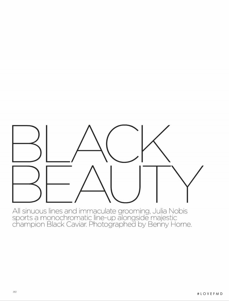 Black Beauty, December 2012