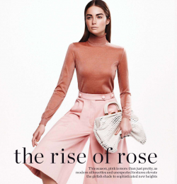 The Rise Of Rose