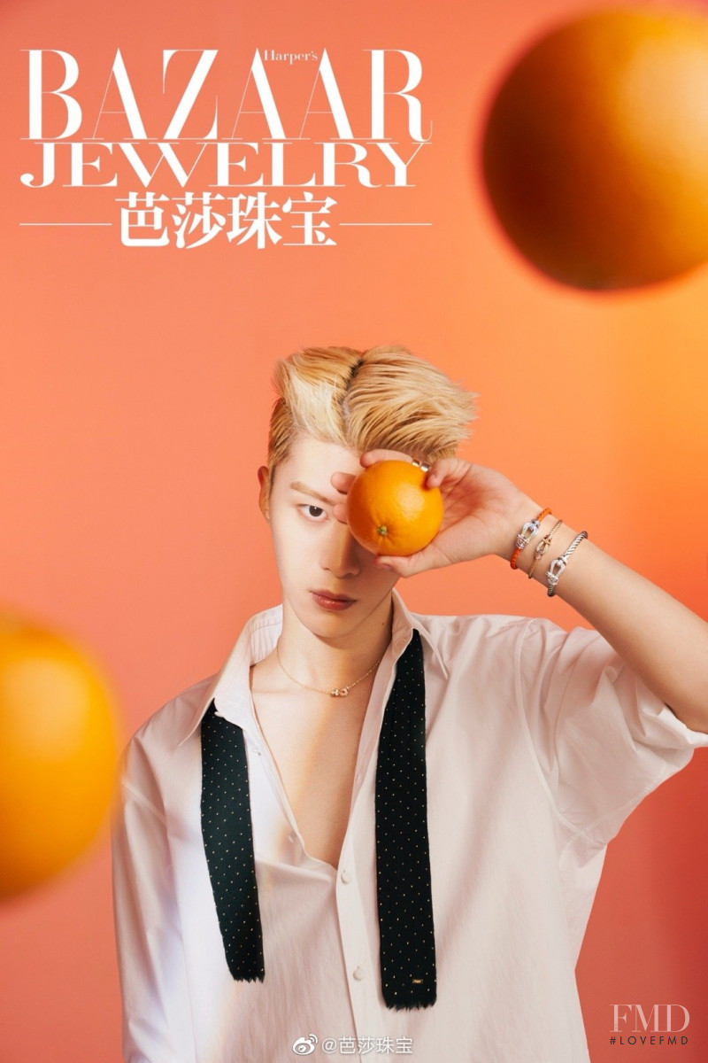 Fan Cheng Cheng, April 2020