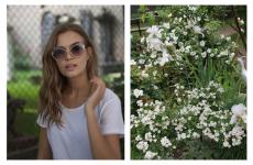 Summer in New York with Josephine