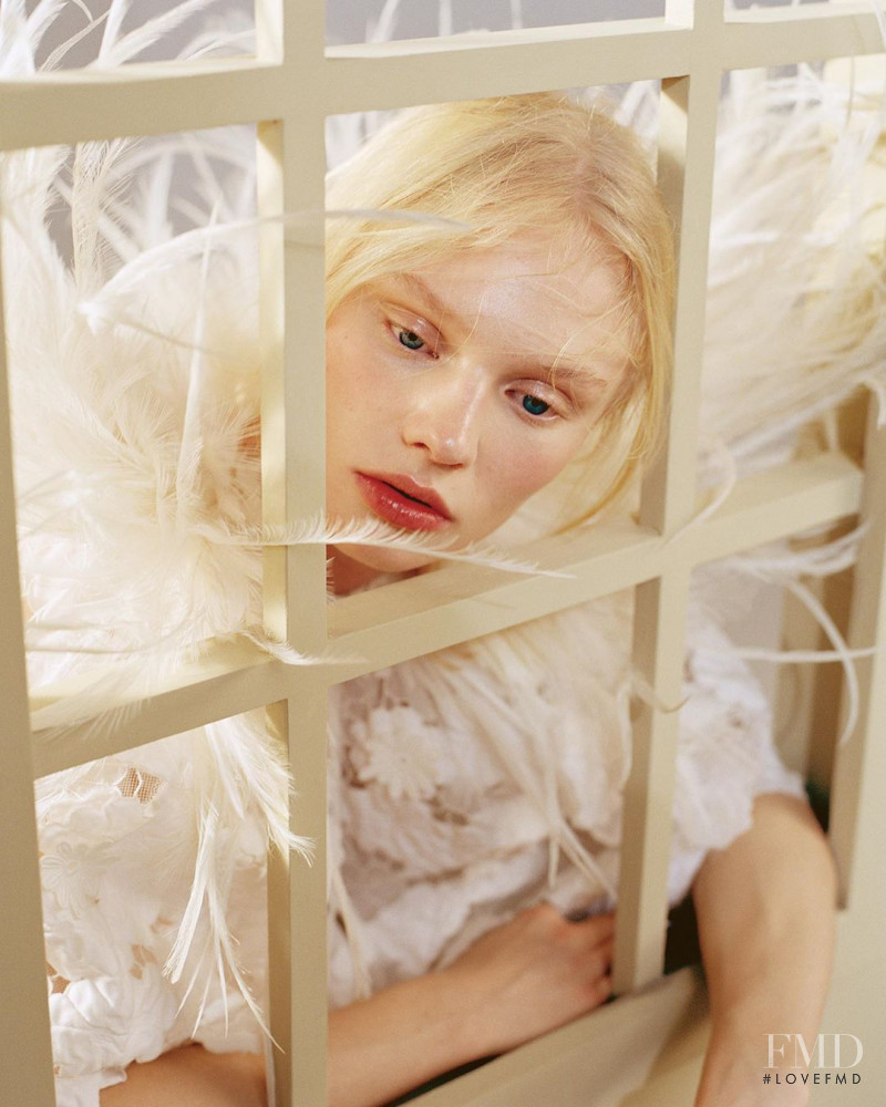 Fairy Tale, April 2020