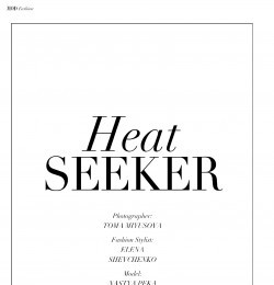 Heat Seeker