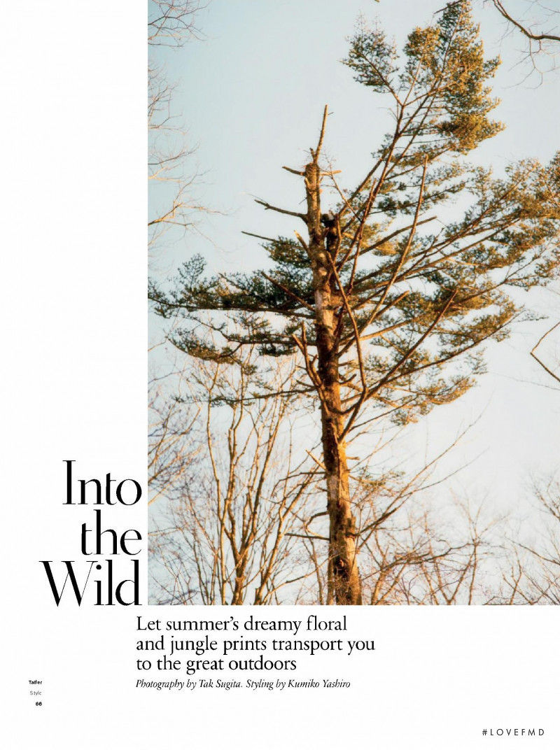 Into the Wild, June 2020