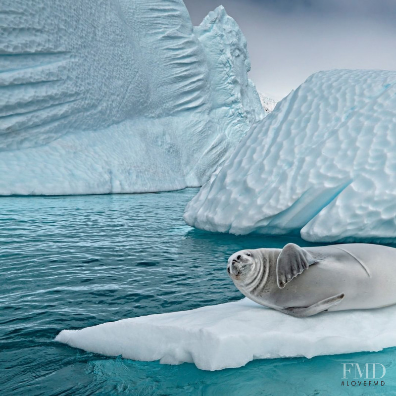 Antartica 2020, August 2020