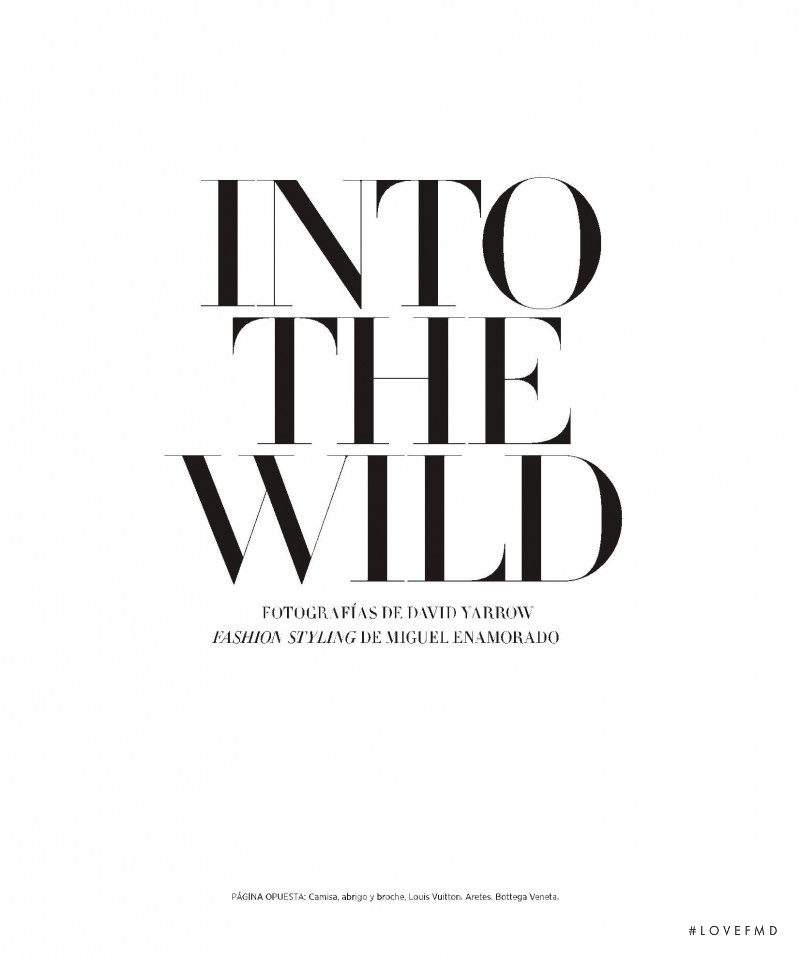 Into The Wild, August 2020
