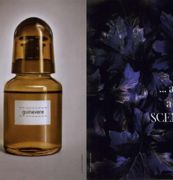 guinevere...as a scent