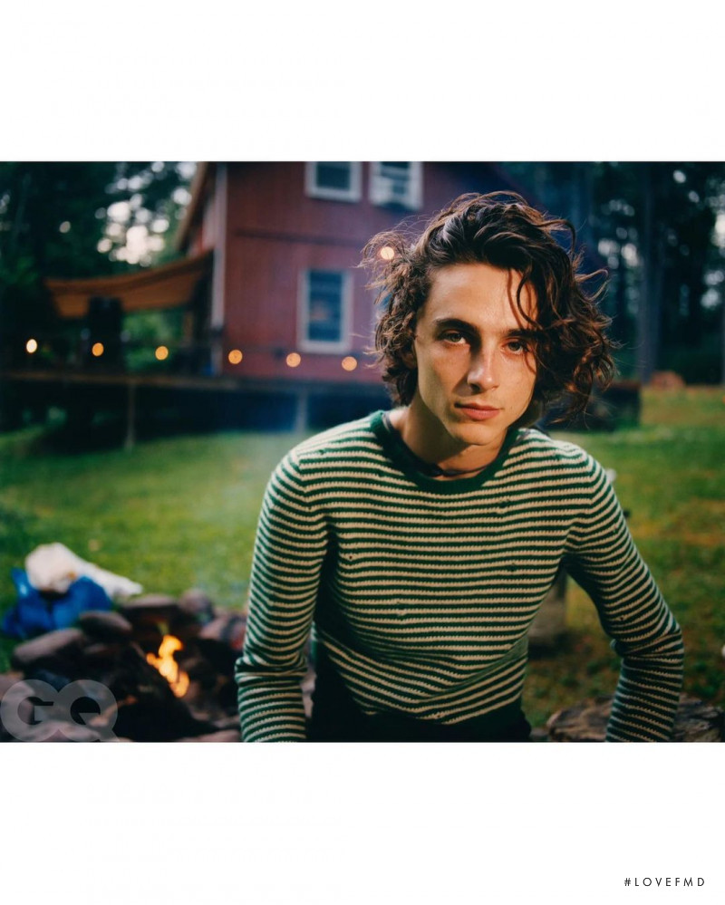 Wild Heart, November 2020