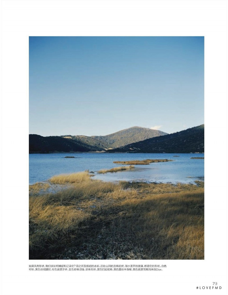 Into The Wild, January 2021