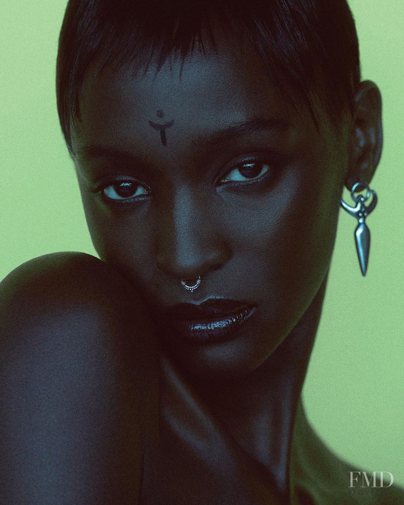 Bonjour Bona Fide!, November 2020