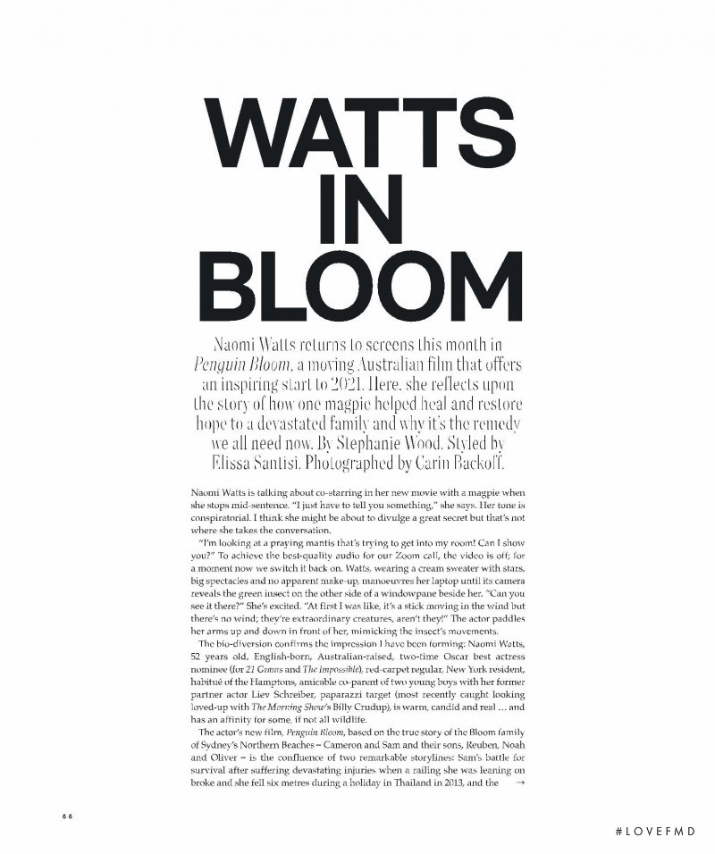 Watts in Bloom, January 2021