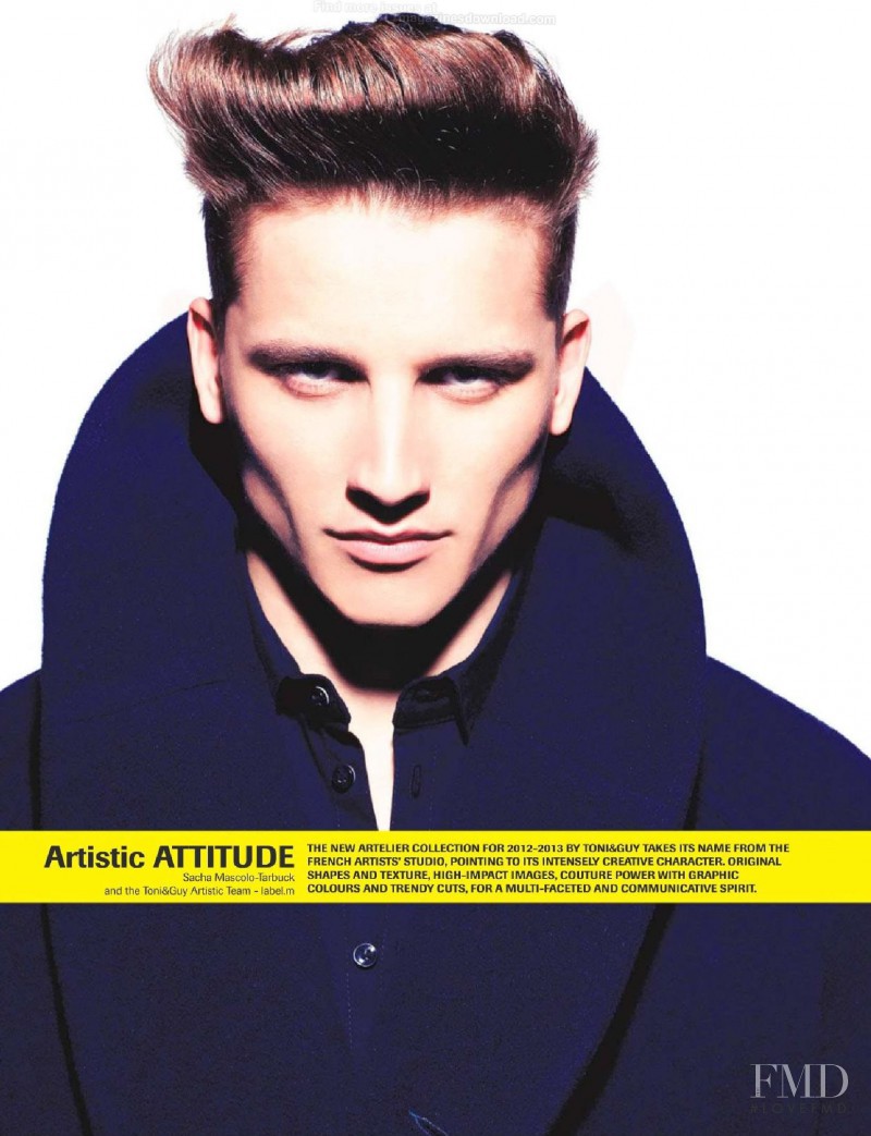 Artistic Attitude, January 2013