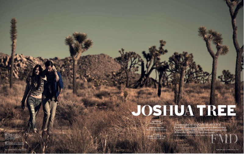 Joshua Tree, February 2013