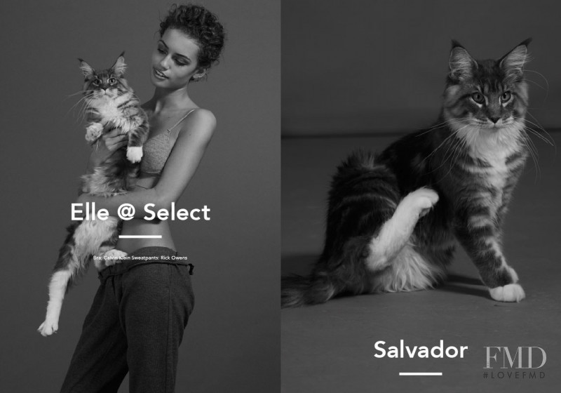Elle Trowbridge featured in Model Select, July 2015