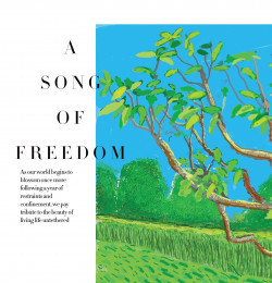 A Song of Freedom