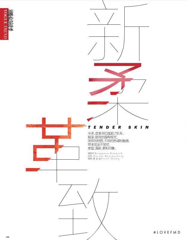 Tender Skin, February 2013