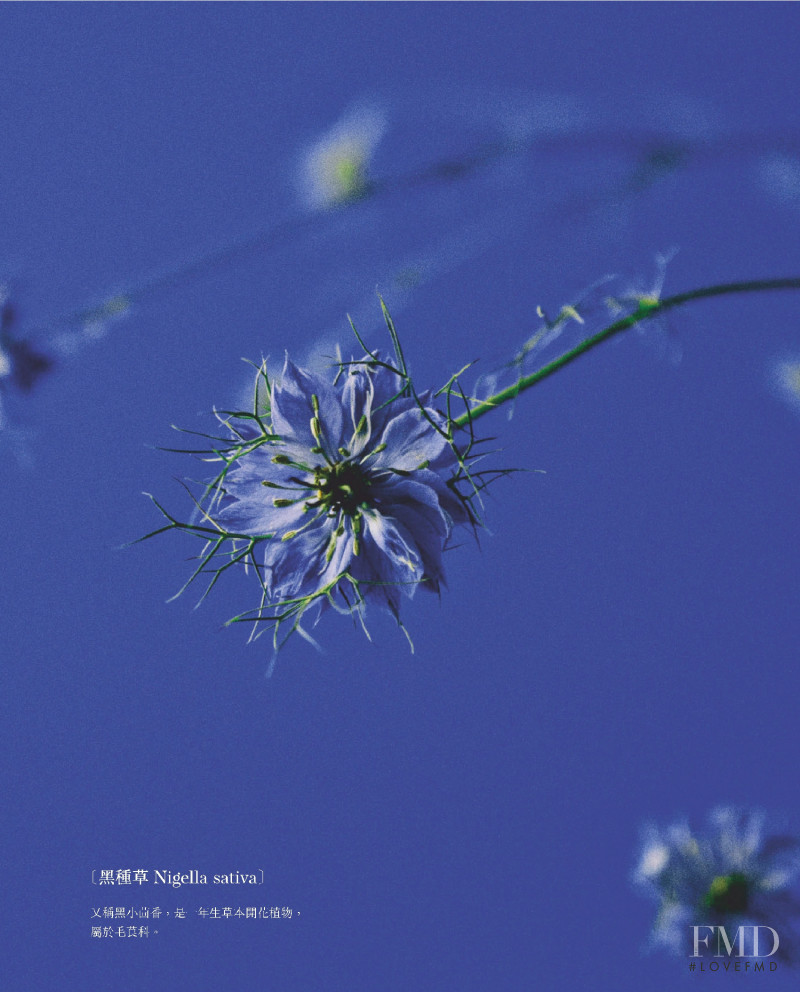 Blooming Season, April 2021