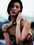 Liu Wen