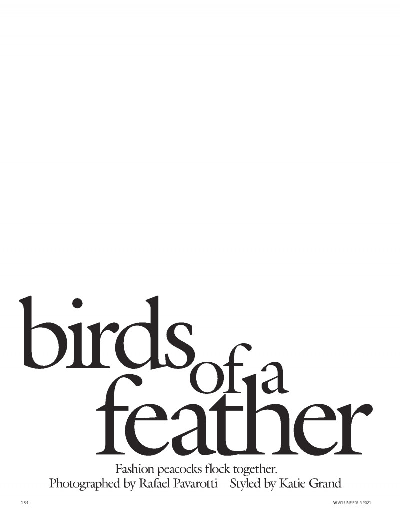 Birds of a feather, September 2021