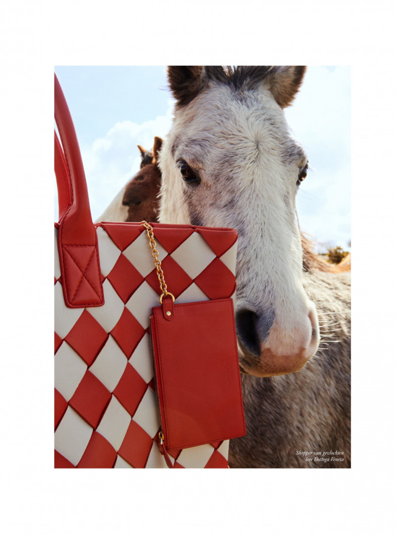 Elizabeth Davison featured in Woeste Hoogten, June 2019